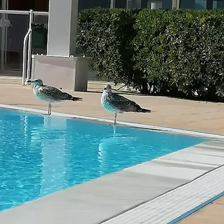 Escale Paradisiaque à Sète