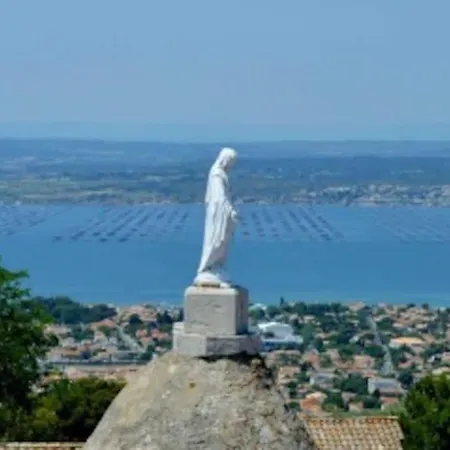 Escale Paradisiaque à Sète